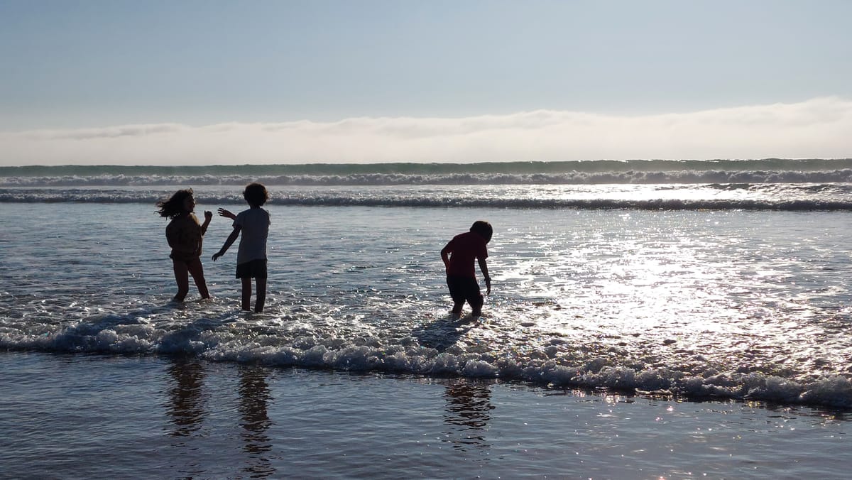 November 2025: Community Waves