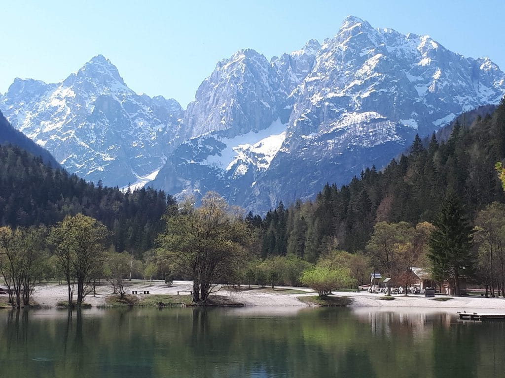 Lockdown Reflections from Slovenia