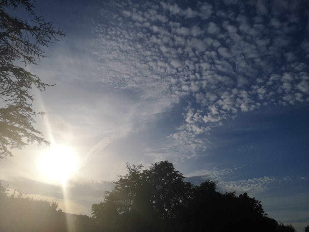 For without creativity, what is our existence?