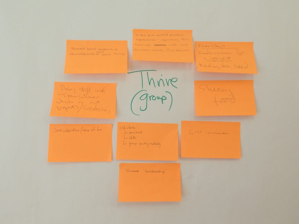 Stepping Up and Reaching Out – Thriving and Barriers