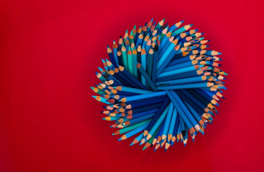 Training for Transition - latest news