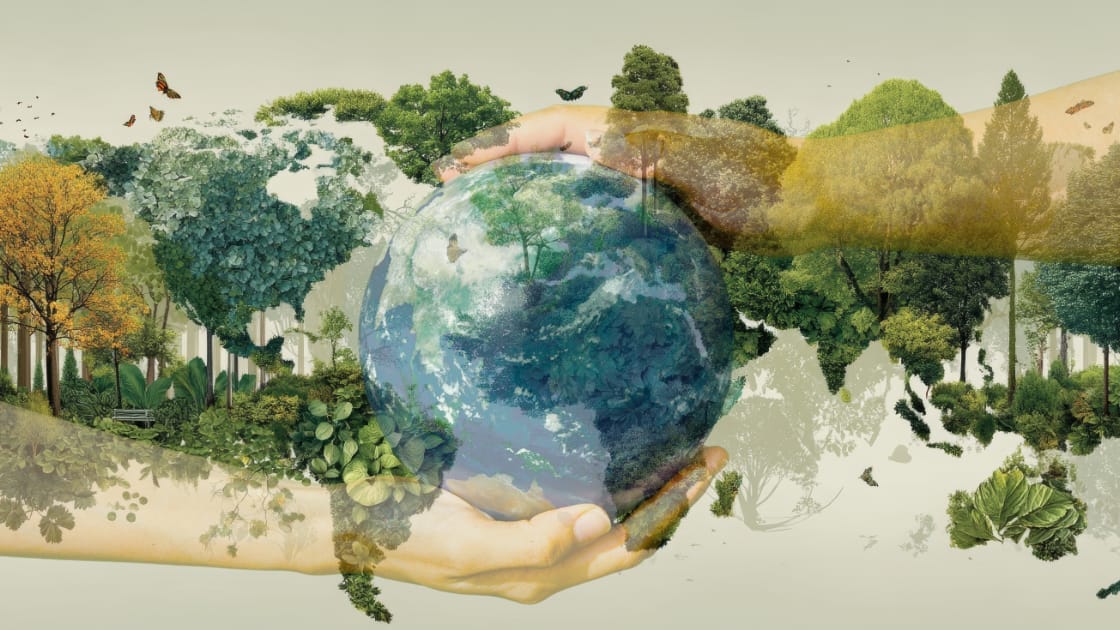 June 2026: Bioregional partnerships around the world