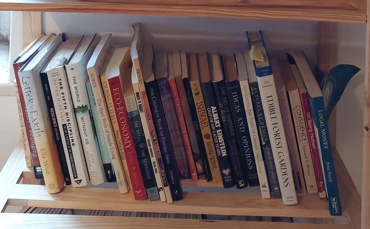 Reflections from our 'reading week'