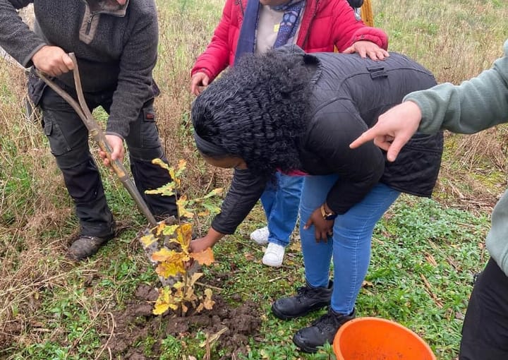 Cultivating Just Transition: reflections on a learning journey