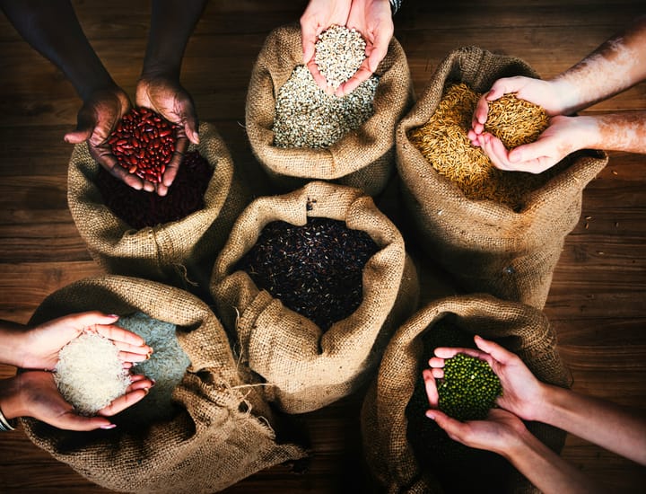 Seed bags in a circle, people holding seeds in their hands 