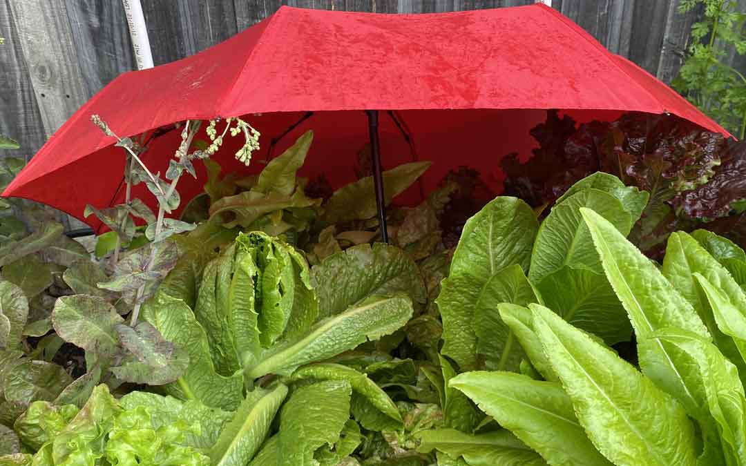 January 2026: Finding Healthy Rhythms