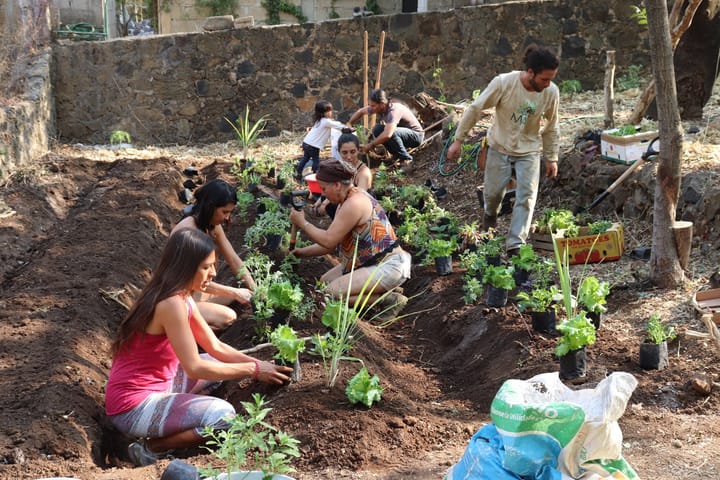 Planting seeds for abundance