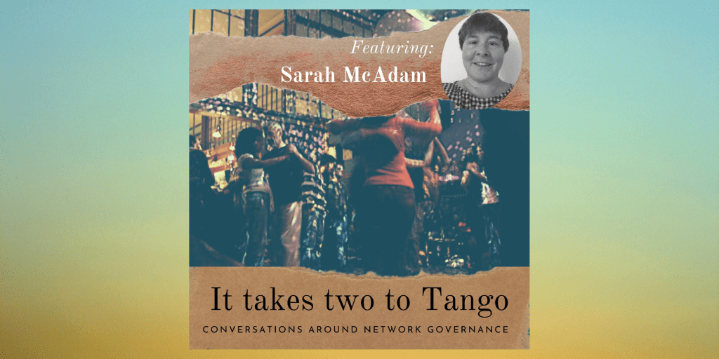 Transition Governance - Not Perfect, But Precious