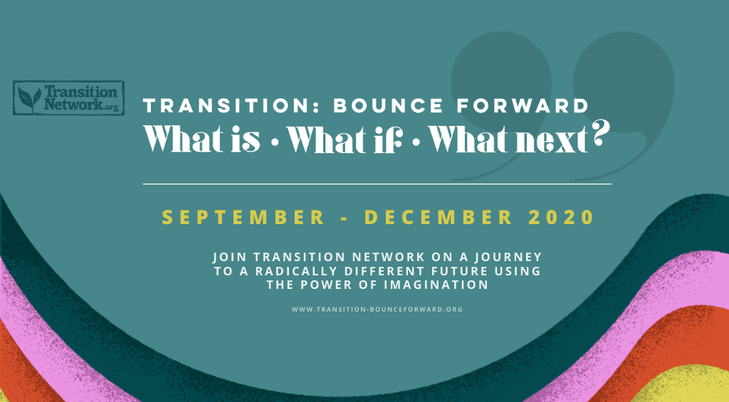 Transition: Bounce Forward – What Is