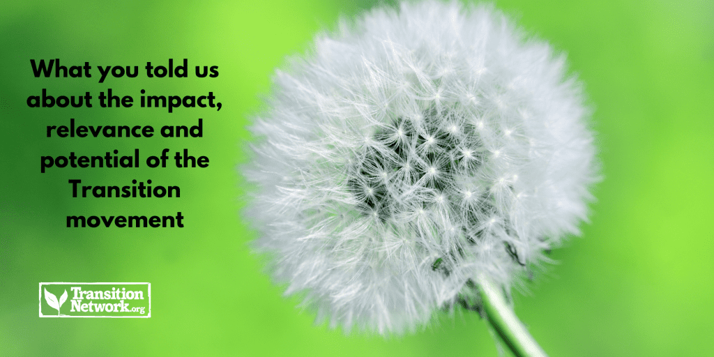 What you told us about the impact, relevance and potential of the Transition movement