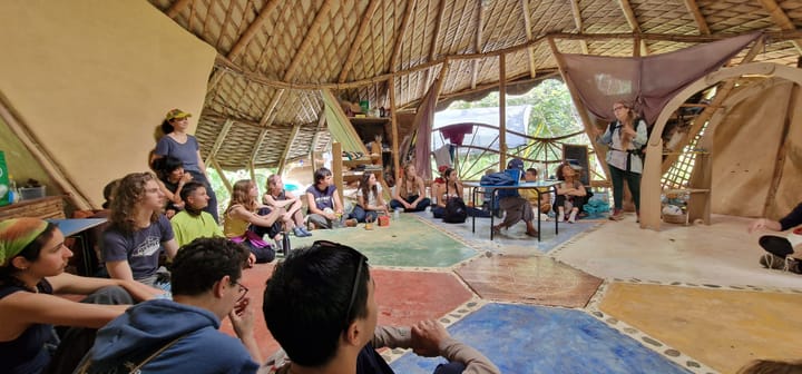 Transition in Colombia: A Living Tapestry of Regeneration and Hope